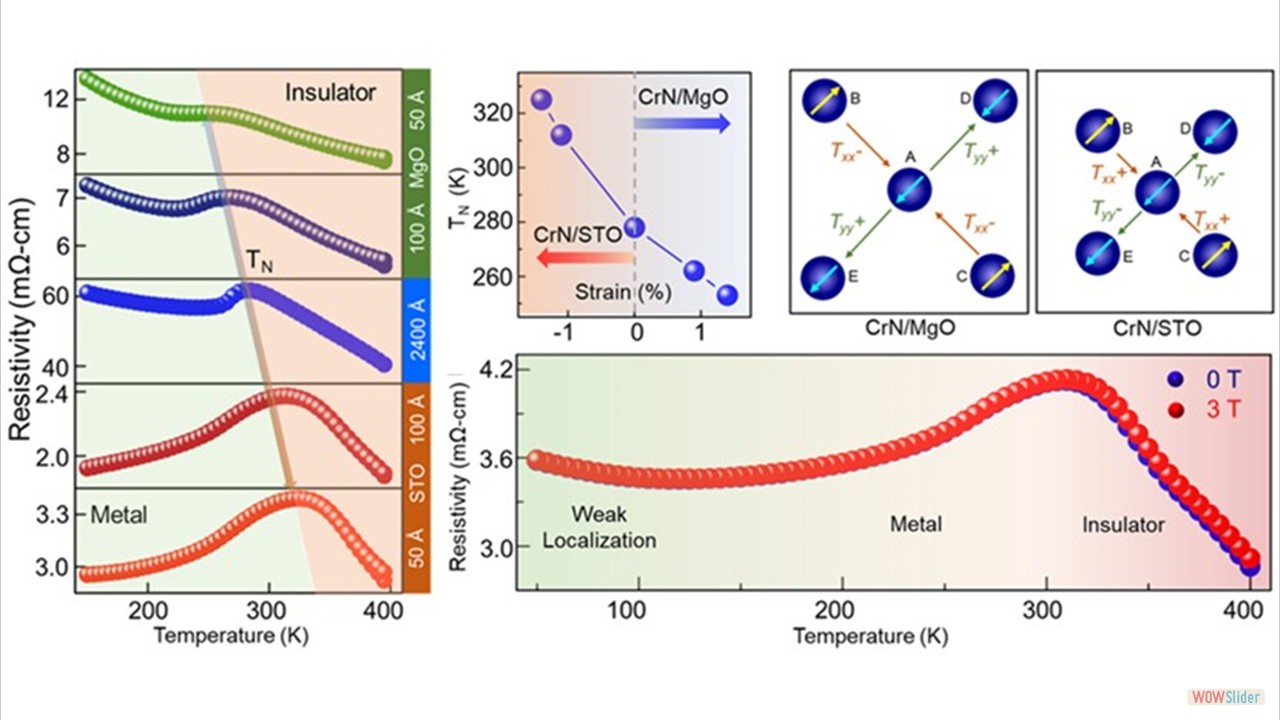 Magnetic Stress-Driven Phase Transition in CrN