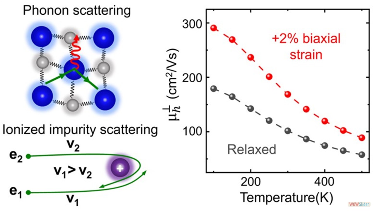 High Hole Mobility in p-type ScN