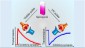 Artificial Photonic Synapse